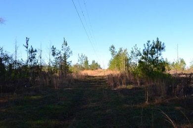 0 Chester - Cochran Hwy, Chester, GA 31014 - photo 2