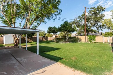 531 back yard