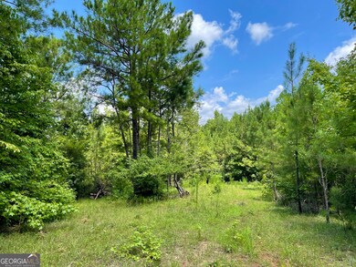 460 Welcome To Arnco Rd, Newnan, GA 30263 - photo 2