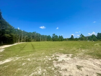 374 West Rd, Poulan, GA 31781 - photo 6