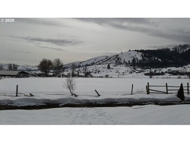 120 Granite St, Halfway, OR 97834 - photo 6