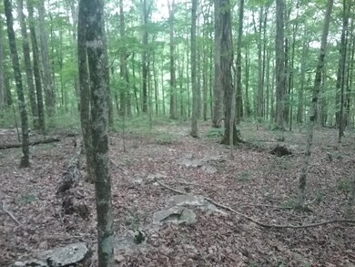 8351 Macedonia Rd, Cookeville, TN 38506 - photo 5