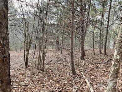 11 Hamlet Dr unit 11-12, Burnsville, NC 28714 - photo 6