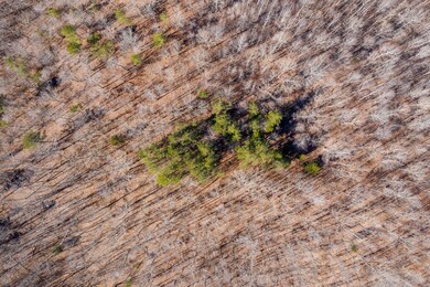 210 Saddlebrook Dr, Hohenwald, TN 38462 - photo 4