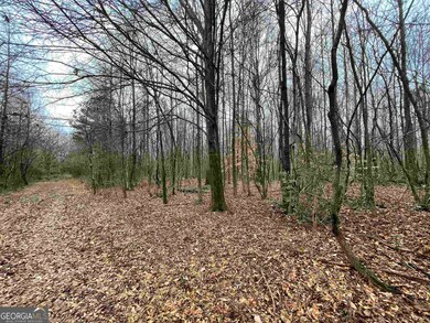 0 Holiness Campground Rd unit 10648171, Cleveland, GA 30528 - photo 5