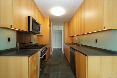 Kitchen featuring stainless steel appliances, sink, dark tile flooring, and light brown cabinets