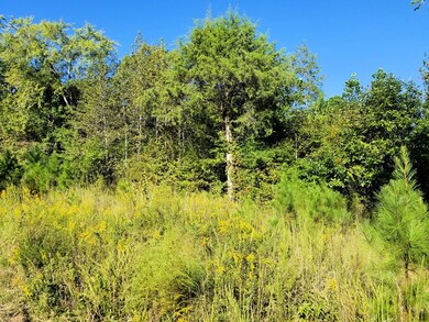 20.62 AC Stoney Cross Rd, Chase City, VA 23924 - photo 3