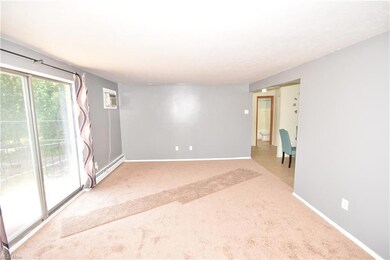 5374 Lee Rd unit 303, Maple Heights, OH 44137 - photo 4