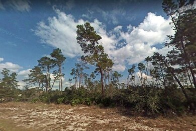 2291 Eldorado Ct, Saint Cloud, FL 34771 - photo 5