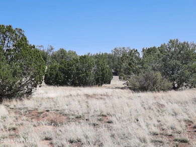 56673 N La Carro Ln, Seligman, AZ 86337 - photo 3