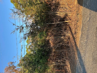 0 Bonaire St unit 23852, Mc Rae, GA 31055 - photo 3