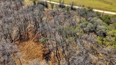 170 Hansma Way, Weatherford, TX 76087 - photo 2