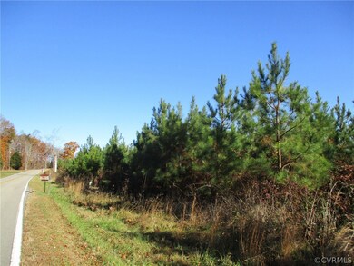 1950 Manakintown Ferry Rd, Midlothian, VA 23113 - photo 5