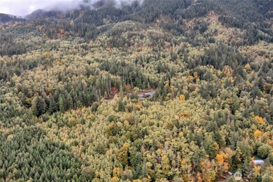 358 xx SE 311th St, Lake Morton-Berrydale, WA 98051 - photo 5