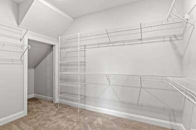 Walk in closet with carpet floors