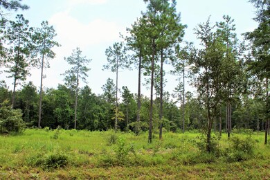 9ac Homestead, Lucedale, MS 39452 - photo 5