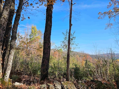 324 Crane Hill Rd, Sugar Hill, NH 03586 - photo 5