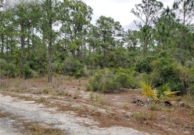 208 Suwannee Dr, Lake Placid, FL 33852 - photo 2