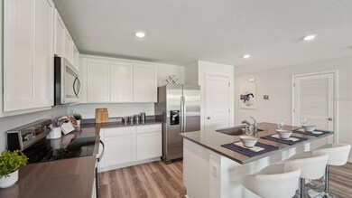 5802 SW 132nd Place, Ocala, FL 34473 - photo 5