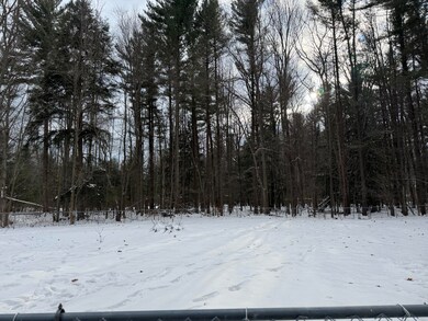 207 N Plank Rd, Tawas City, MI 48763 - photo 2