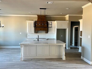 1019 Hennesay Park, Springtown, TX 76082 - photo 6