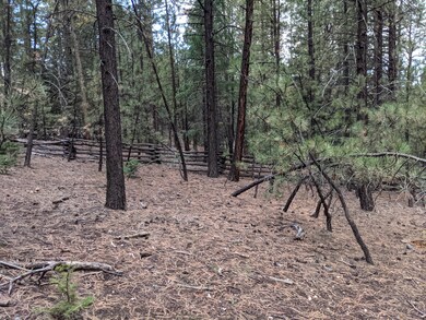 Lot has been cleared