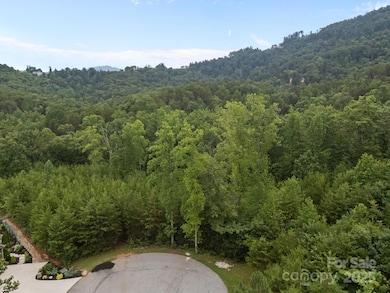 00000 Deer Jump Trail unit 351, Lake Lure, NC 28746 - photo 4