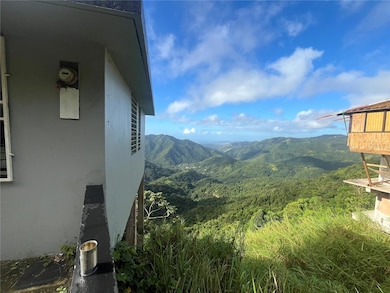 Rd 15 Km 17.7 Jajome Alto Ward, Cayey, PR 00736 - photo 2