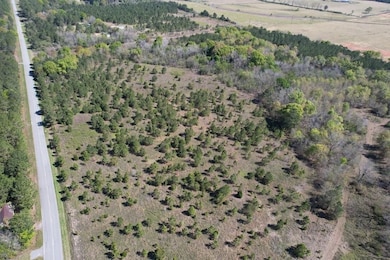 160 Old Nesbitt Rd, Cordele, GA 31015 - photo 5