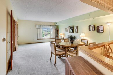 1200 S Prospect Ave unit 108, Elmhurst, IL 60126 - photo 6