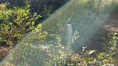 0 E Wild Grape Way unit 1665986, Grapeview, WA 98546 - photo 5