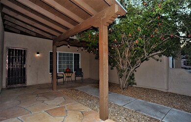 Beautiful Pomegranate Tree
