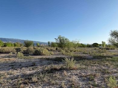 1475 and Tbd Highway 50, Delta, CO 81416 - photo 2