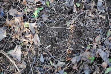 15 Gordon Pond Rd, Lafayette, GA 30728 - photo 3