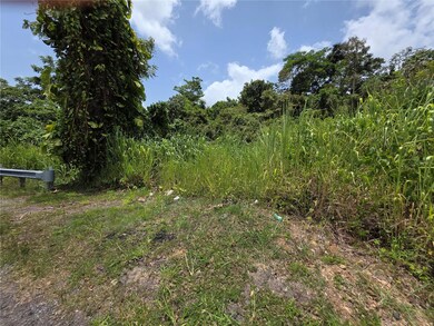 0 Carr-137 unit MFRPR9115625, Morovis, PR 00687 - photo 3