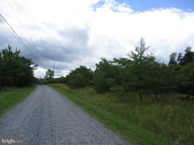 602 Plum Tree Ln, Berkeley Springs, WV 25411 - photo 4