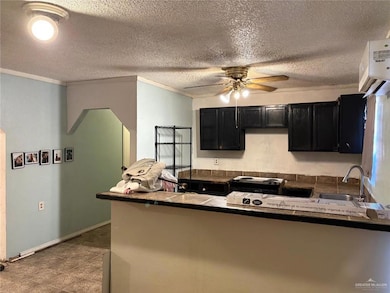 2001 N Montana St, Alton, TX 78573 - photo 6