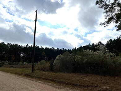 0 Sportsmans Paradise Rd, Many, LA 71449 - photo 6