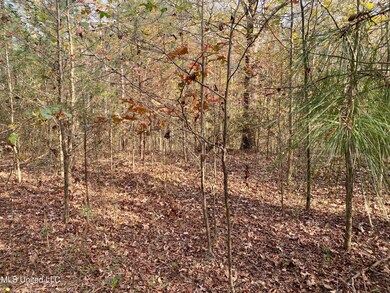 0 Massey Rd, Kosciusko, MS 39090 - photo 7