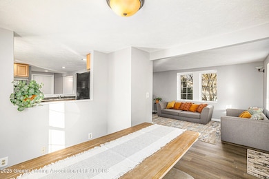 824 Pleasant St, Grand Ledge, MI 48837 - photo 7