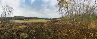 L1 Mineral Point Rd, Cross Plains, WI 53528 - photo 6