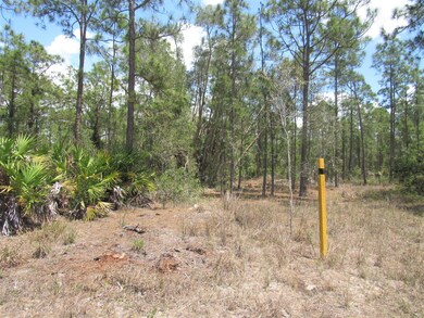 835 Gedeon Rd, Lehigh Acres, FL 33974 - photo 3