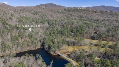 24 Gold Creek Rd, Sapphire, NC 28774 - photo 6