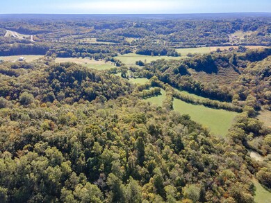 1 Tallent Rd, Pulaski, TN 38478 - photo 7