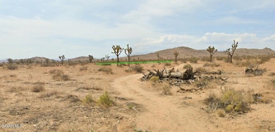 0 Vic 196th St E and Ave J4, Lancaster, CA 93535 - photo 3