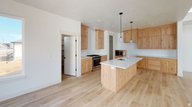 119 E 1590 S unit 32, Elk Ridge, UT 84651 - photo 7