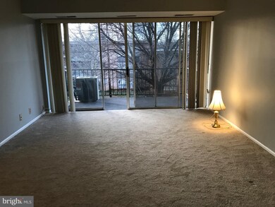 3704 N Rosser St unit 102, Alexandria, VA 22311 - photo 3