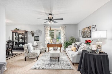 Ceiling Fan & Overhead Light Fixture