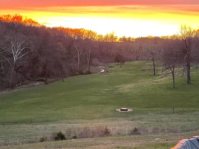 000 Prescott Rd, Kissee Mills, MO 65680 - photo 6