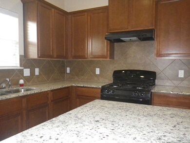 9519 Gold Stage Rd, San Antonio, TX 78254 - photo 7